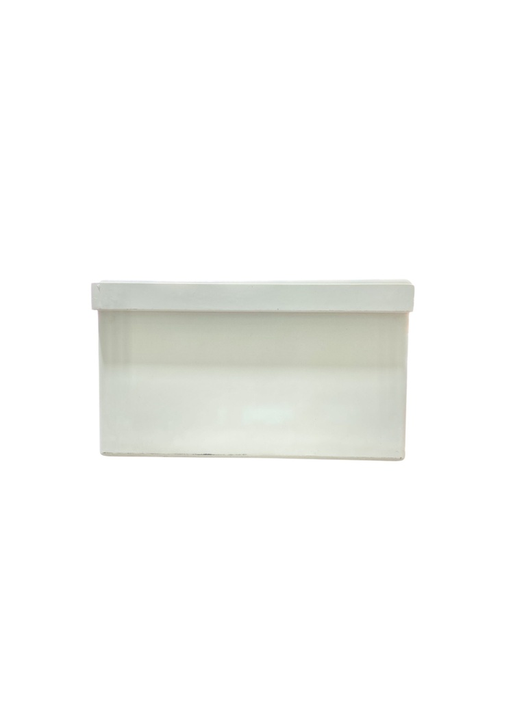 CAJA DE CONTROL 300X250X140mm IP65 USO EXTERIOR C/PUERTA Y CERRADURA DOBLE FONDO POLIESTER BEIGE