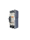 BREAKER 2X60A CAJA MOLDEADA TERMOMAGNETICO FIJO