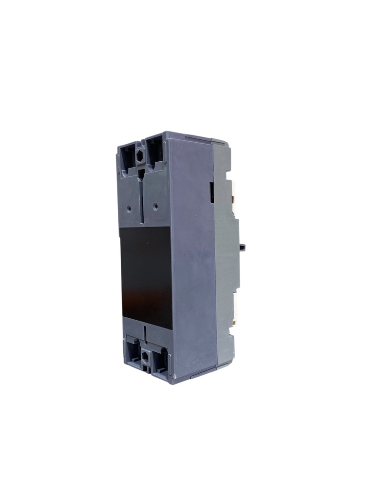 BREAKER 2X125A CAJA MOLDEADA TERMOMAGNETICO FIJO