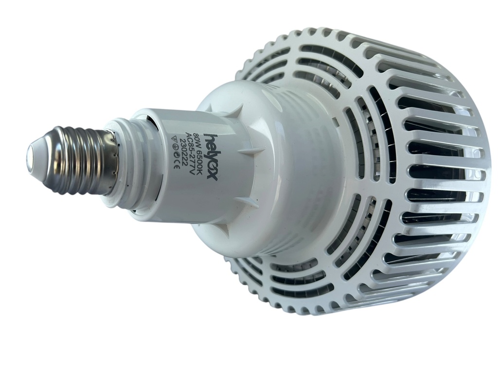 BOMBILLO LED 80W E27 6500K