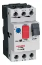 GUARDAMOTOR 4-6.3A SERIE CDP6-32 MARCA DELIXI DEL03025