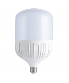 [LED1021] BOMBILLO LED 30W E27 85-265V 6.500K