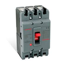 [SD-LH2 100] BREAKER 2X100A CAJA MOLDEADA